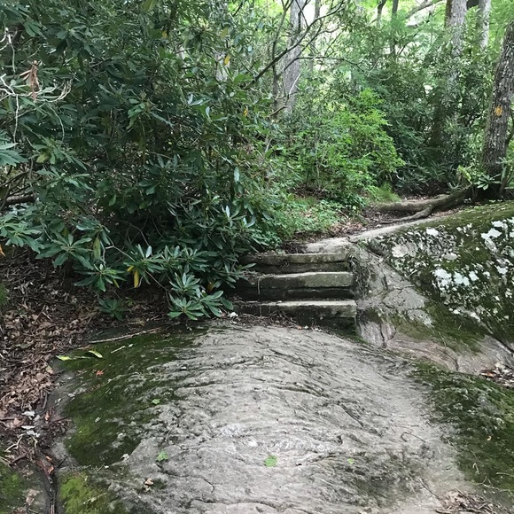 Meet your Posher, Rachel - Picture 3 of 7